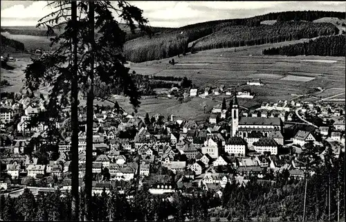 Ak Neustadt im Breisgau Hochschwarzwald, Gesamtansicht