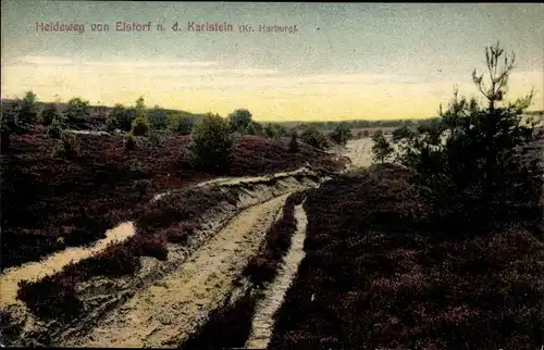 Ak Elstorf Neu Wulmstorf in Niedersachsen, Heideweg n. d. Karlstein