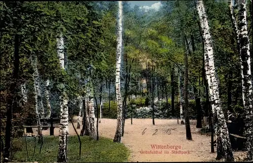 Ak Wittenberge an der Elbe Prignitz, Grünfeldtal im Stadtpark