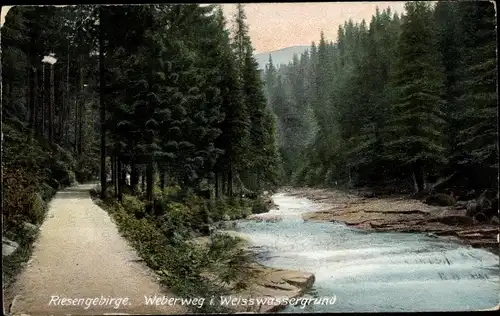 Ak Riesengebirge Region Königgrätz, Weißwassergrund, Weberweg