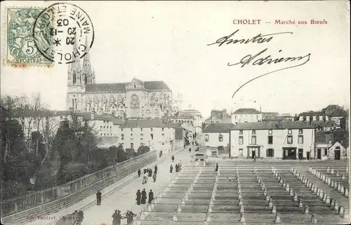 Ak Cholet Maine et Loire, Marche aux Boeufs