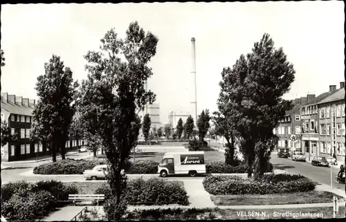 Ak Velsen Noord Nordholland Niederlande, Stratingplantsoen