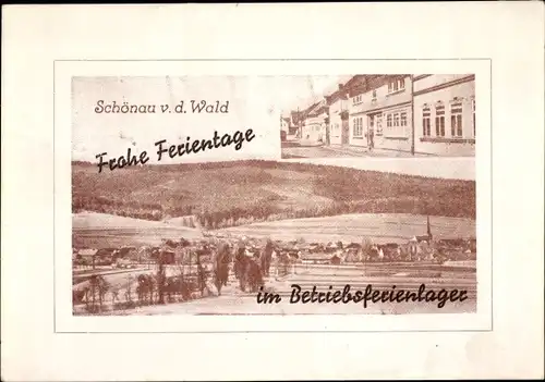 Ak Schönau vor dem Walde in Thüringen, Betriebsferienlager Vermessungsdienst Thüringen, 1954