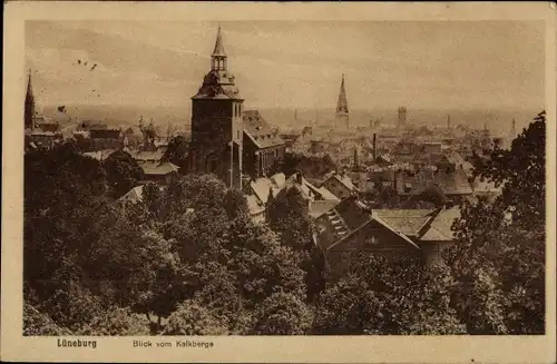 Ak Lüneburg in Niedersachsen, Panorama, Blick v. Kalkberge