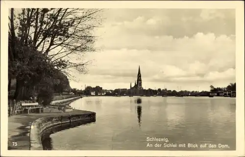 Ak Schleswig an der Schlei, Dom, Panorama