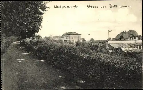 Ak Kellinghusen in Holstein, Liethpromenade