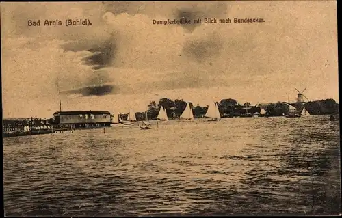 Ak Bad Arnis an der Schlei, Dampferbrücke, Sundsacker, Panorama