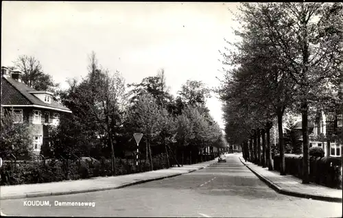 Ak Koudum Friesland Niederlande, Dammenseweg