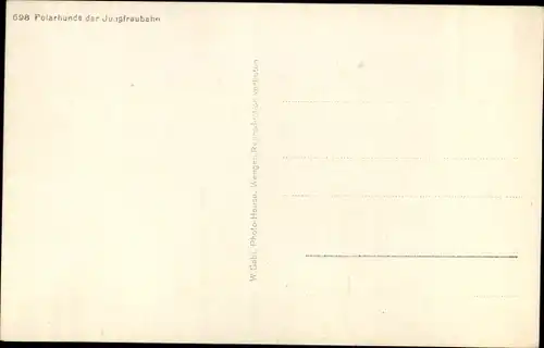 Ak Kanton Bern, Polarhunde der Jungfraubahn