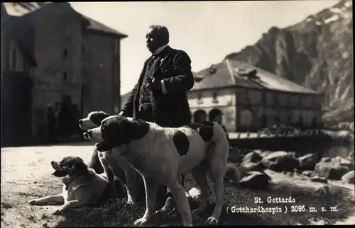 Ak Airolo Kanton Tessin Schweiz, St Gotthard Hospiz, Mann mit Bernhardinern