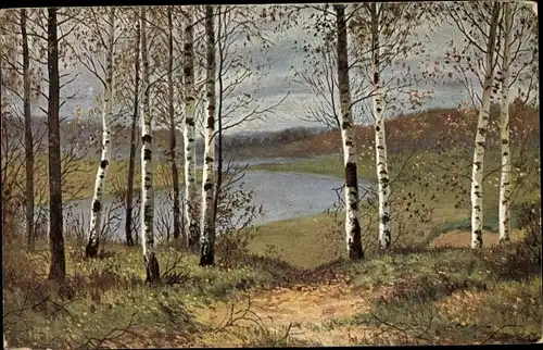 Künstler Ak Volkov, E. E., Herbst, Allegorie, Birken