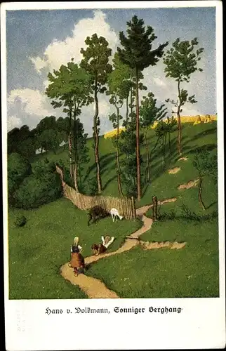 Künstler Ak Volkmann, Hans von, Sonniger Berghang