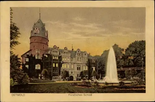 Ak Detmold in Nordrhein Westfalen, Fürstl. Schloss