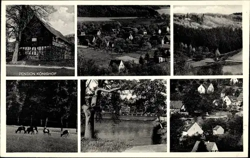 Ak Wilkenroth Waldbröl im Oberbergischen Kreis, Pension Königshof, Wildgehege