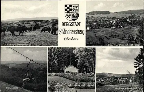 Wappen Ak St. Andreasberg Braunlage Oberharz, Heilstätte Glückauf, Schwebelift, Kühe, Kurpark