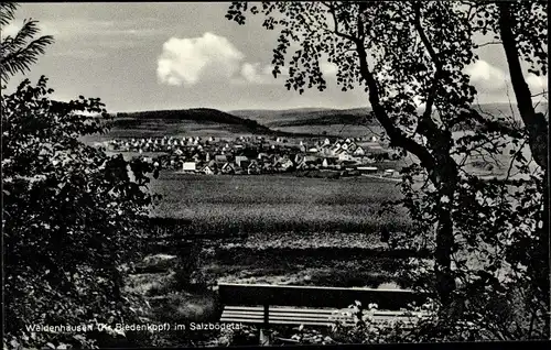 Ak Weidenhausen Gladenbach Hessen, Gesamtansicht