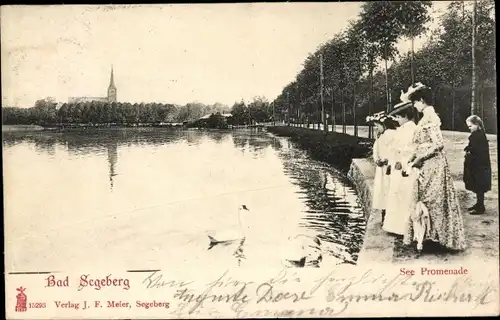 Ak Bad Segeberg in Schleswig Holstein, Seepromenade