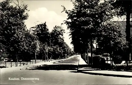 Ak Koudum Friesland Niederlande, Dammenseweg