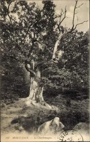 Ak Fontainebleau Seine et Marne, Foret, Mont Ussy, Le Charlemagne