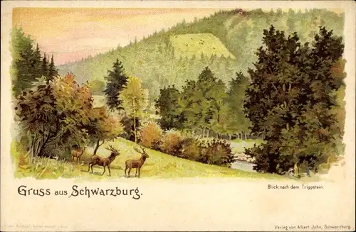 Litho Schwarzburg in Thüringen, Blick nach Trippstein, Hirsche