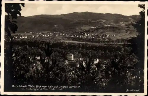 Ak Rudolstadt in Thüringen, Gesamtansicht