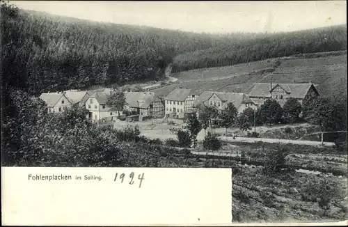 Ak Fohlenplacken Neuhaus im Solling Holzminden Niedersachsen, Gesamtansicht