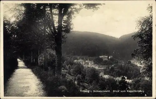 Ak Triberg im Schwarzwald, Blick v. Kapellenberg