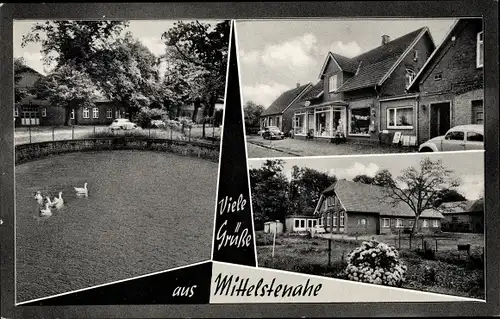 Ak Mittelstenahe in Niedersachsen, Teich, Wohnhaus, Geschäftshaus