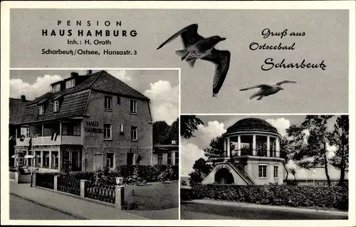 Ak Scharbeutz in Ostholstein, Pension Haus Hamburg, Hansastraße, Möwen