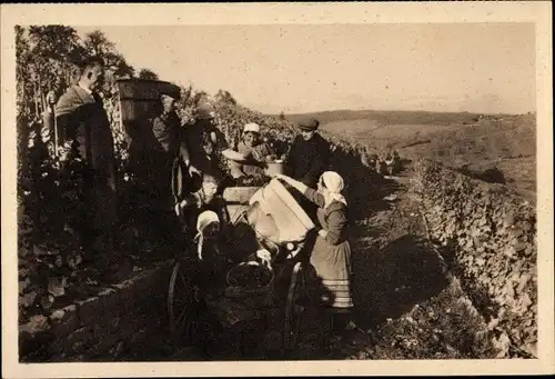 Ak Strümpfelbach Weinstadt in Baden Württemberg, Weinlese, Nothilfe Lotterie 1933