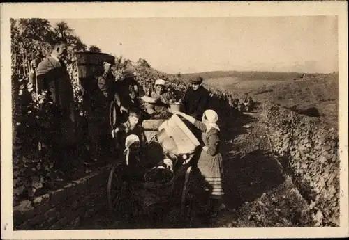 Ak Strümpfelbach Weinstadt in Baden Württemberg, Weinlese, Nothilfe Lotterie 1933