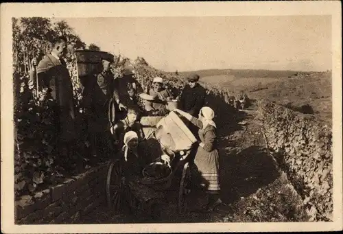 Ak Strümpfelbach Weinstadt in Baden Württemberg, Weinlese, Nothilfe Lotterie 1933