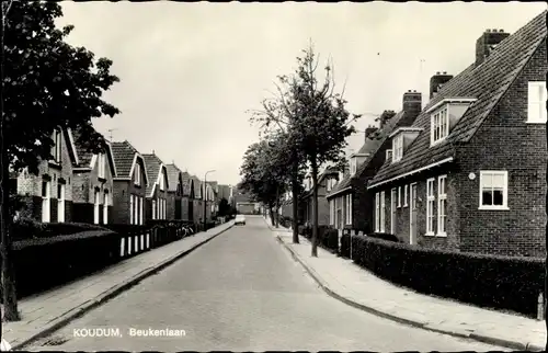 Ak Koudum Friesland Niederlande, Beukenkaan