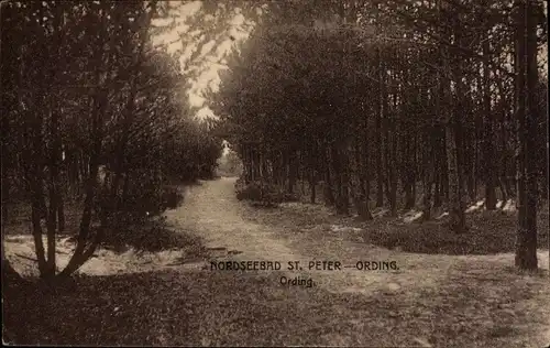 Ak Nordseebad Sankt Peter Ording, Ording