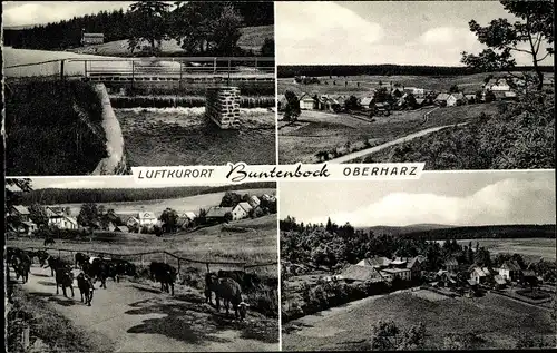 Ak Buntenbock Clausthal Zellerfeld Oberharz, Gesamtansicht