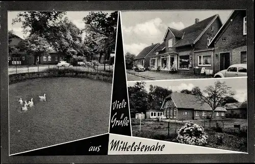 Ak Mittelstenahe in Niedersachsen, Teich, Wohnhaus, Geschäftshaus