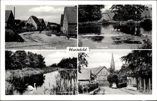 Ak Harsefeld im Kreis Stade, Dorfteich, Siedlung, Kirche