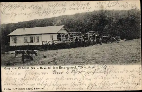 Ak Breungeshain Schotten in Hessen, Hoherodskopf, Clubhaus des VHC, Rinder