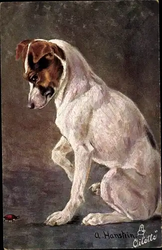 Künstler Ak Hanstein, Fox Terrier betrachtet einen Käfer