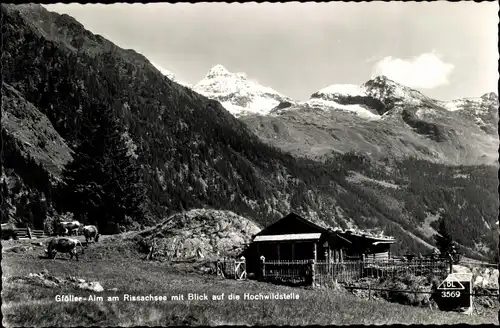 Ak Steiermark Österreich, Gtölleralm am Riesachsee, Hochwildstelle