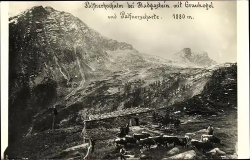 Ak Bad Gastein Badgastein in Salzburg, Graukogel, Palfnerhochalpe