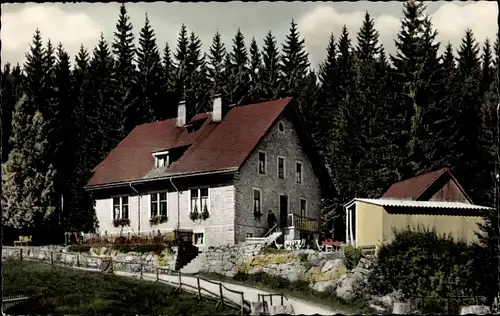 Ak Blasiwald im Schwarzwald, Pension Waldheim