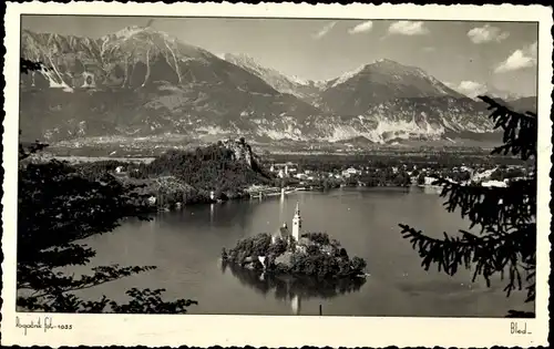 Ak Bled Veldes Slowenien, Gesamtansicht, Insel
