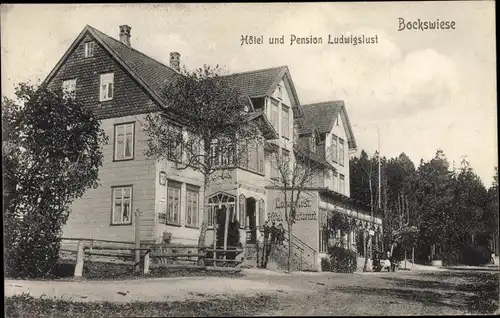 Ak Hahnenklee Bockswiese Goslar im Harz, Hotel und Pension Ludwigslust