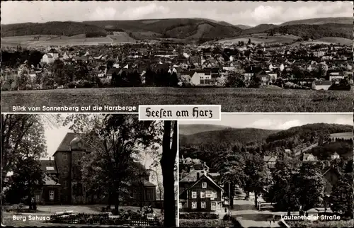 Ak Seesen am Harz, Gesamtansicht, Burg Sehusa, Lautenthaler Straße