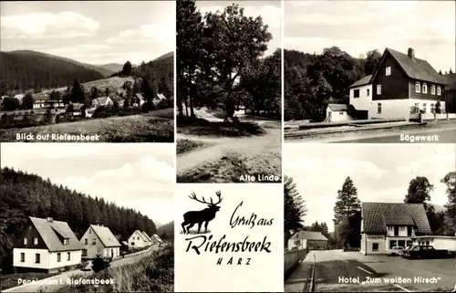 Ak Riefensbeek Osterode am Harz, Sägewerk, Panorama, Hotel zum weißen Hirsch, Pension