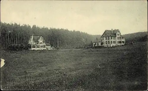 Ak Hahnenklee Bockswiese Goslar im Harz, Villa Bocksberg, Waldheimat