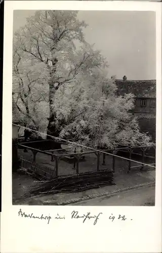 Foto Ak Wałbrzych Waldenburg Schlesien, Baum mit Rauhreif bedeckt