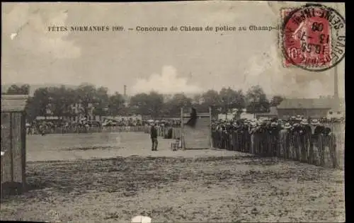 Ak Rouen Seine Maritime, Fetes Normandes 1909, Concours de Chiens de police