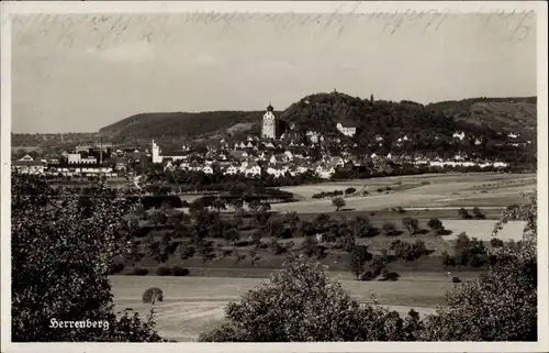 Ak Herrenberg in Württemberg, Blick auf den Ort